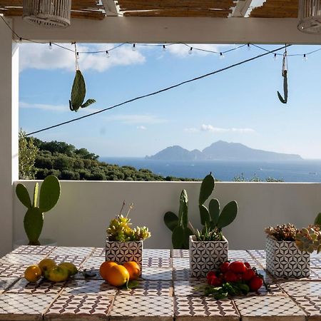 Villa Manu Massa Lubrense Exteriér fotografie