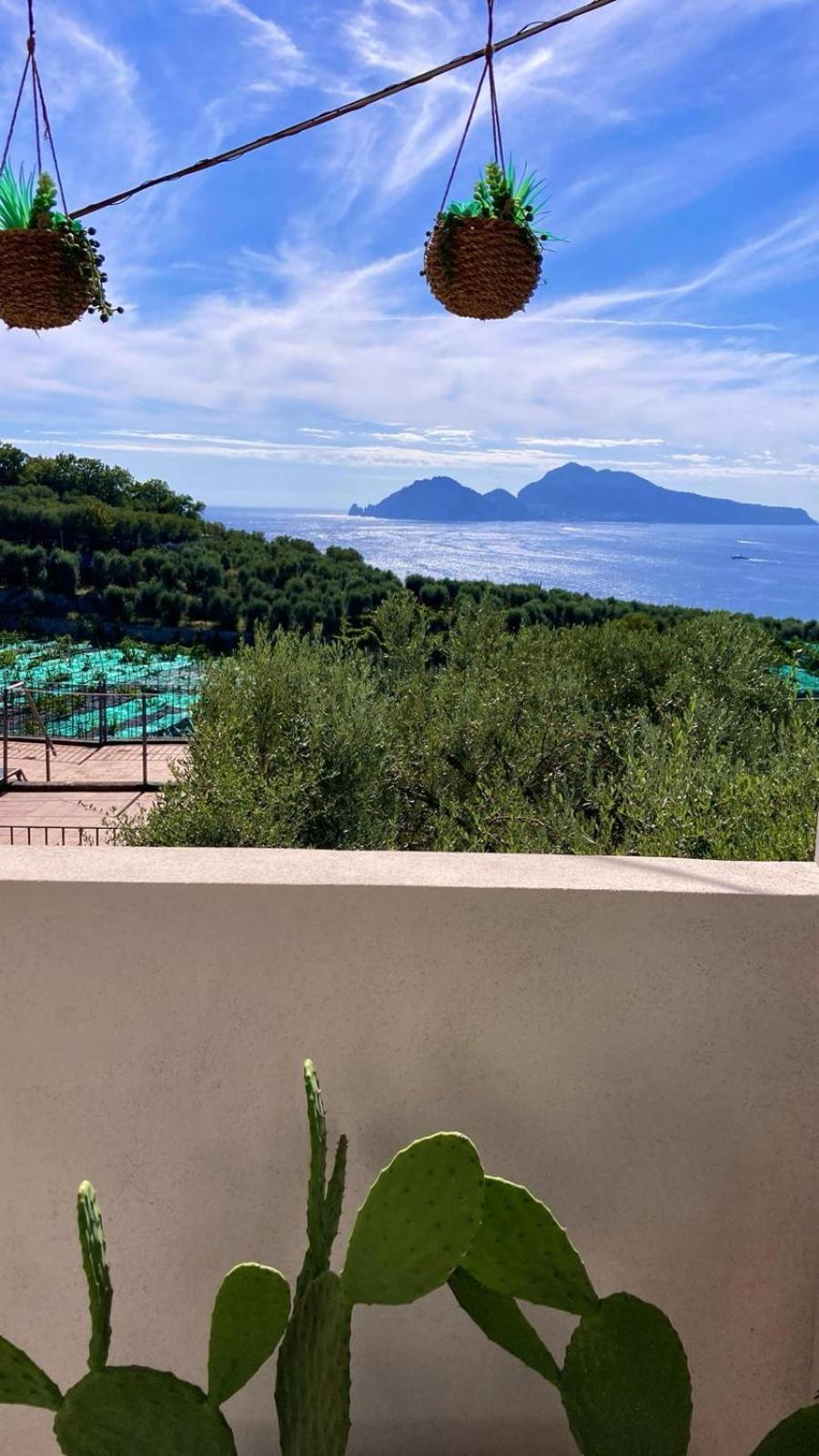 Villa Manu Massa Lubrense Exteriér fotografie
