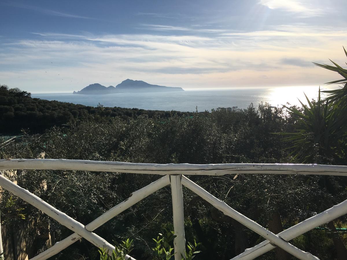 Villa Manu Massa Lubrense Exteriér fotografie