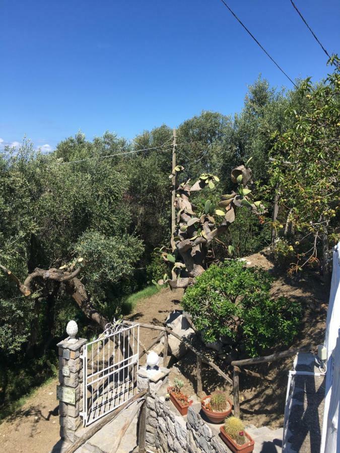 Villa Manu Massa Lubrense Exteriér fotografie